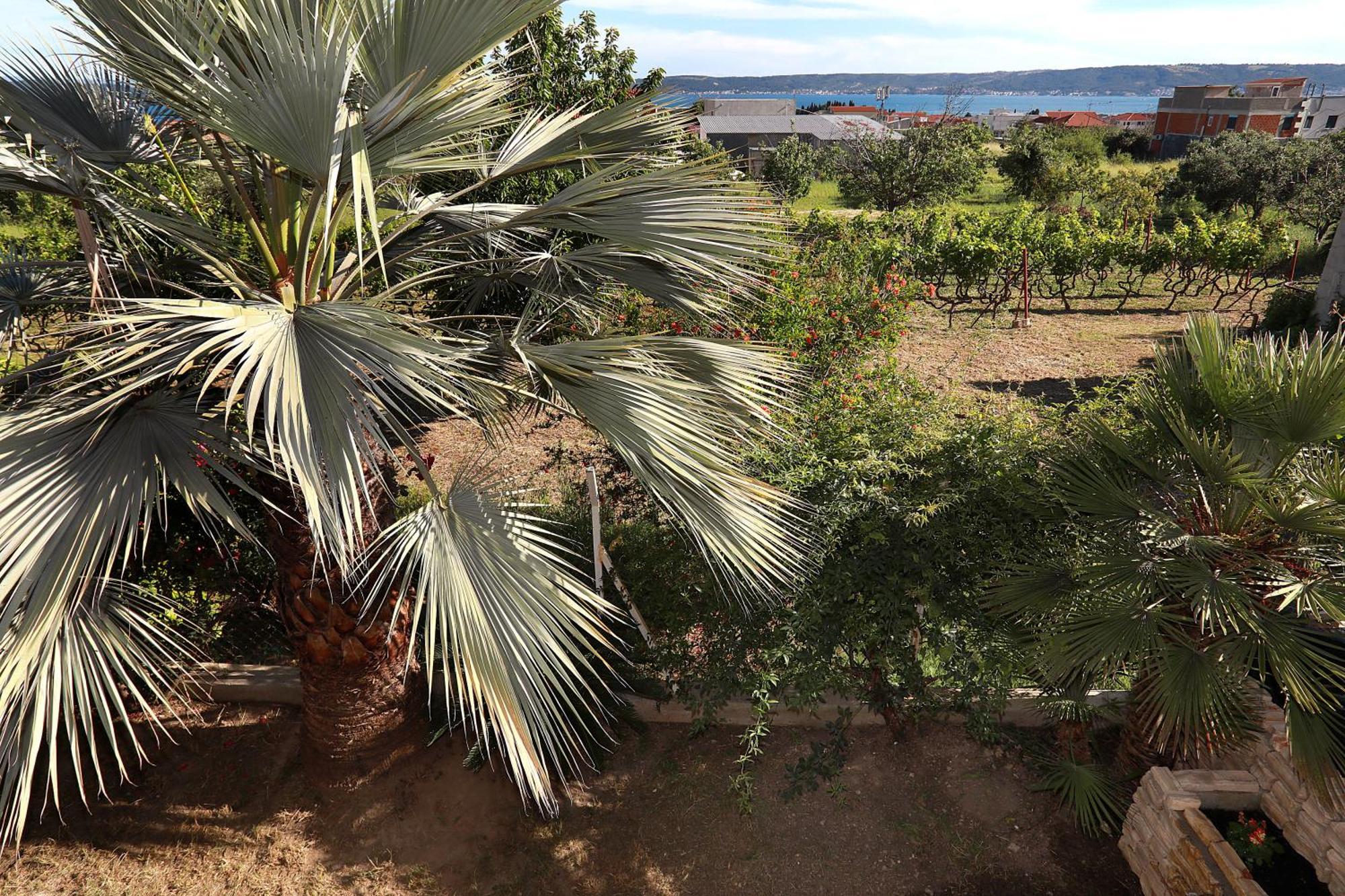 Mediterrianen Paradise Leilighet Kaštela Eksteriør bilde